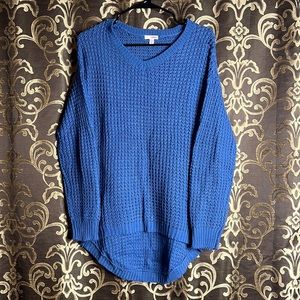 BONGO Calm-Toned Blue Sweater